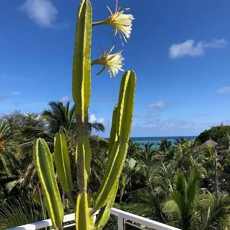 Penthouse Vue Mer Avec Rooftop Grand Baie Exterior foto
