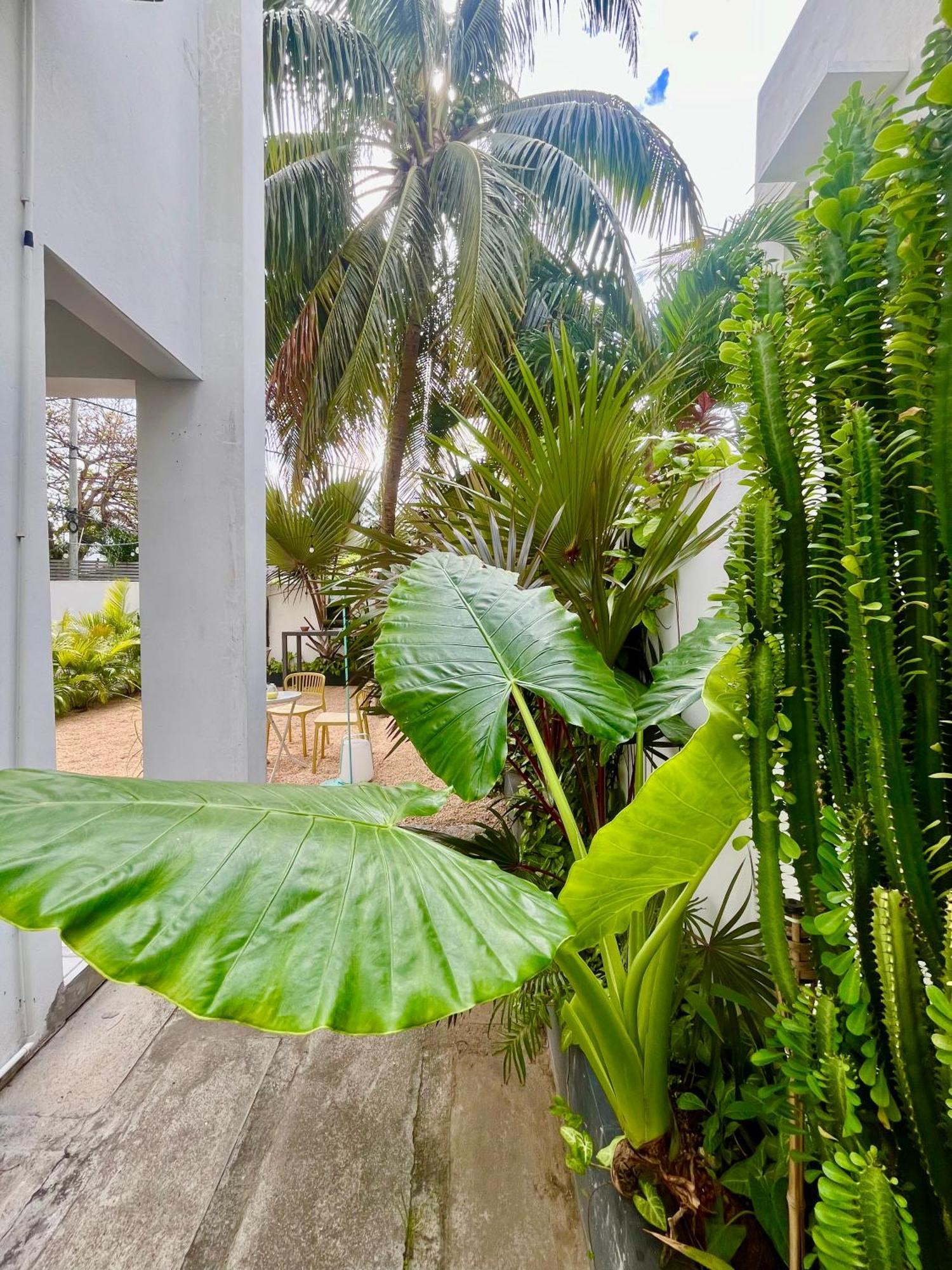 Apartament Penthouse Vue Avec Rooftop Grand Baie